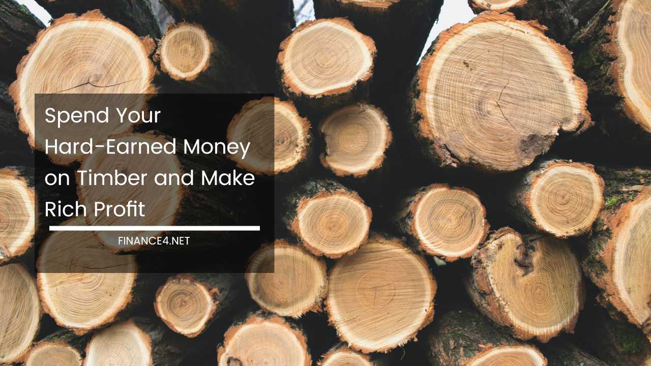 Investing In Timber