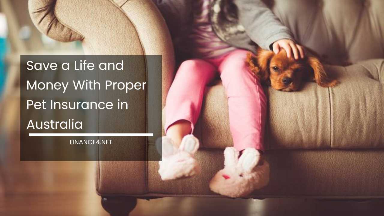 Pet Insurance in Australia
